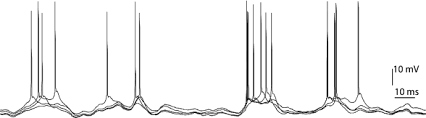 Neural Encoding and Decoding